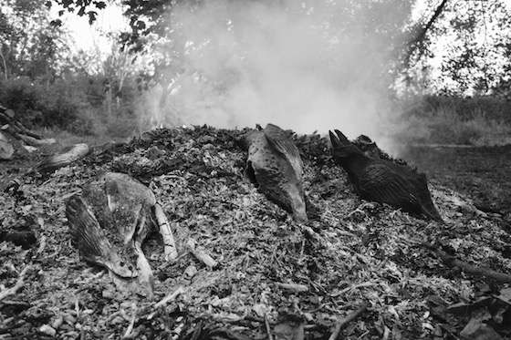 Ryan Livingstone Contemporary Canadian Toronto Artist in the studio New Brunswick Contemporary Ceramic Art Crows Pit Firing Smoke Ahses