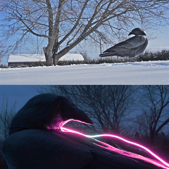 Ryan Livingstone Canadian Artist Sculptor Contemporary Art Crow Harbinger Sculpture Glass Neon Sculpture Outdoor Art Garden Art From The Landscape Toronto New Brunswick Art Inspired by Our Relationship with Nature